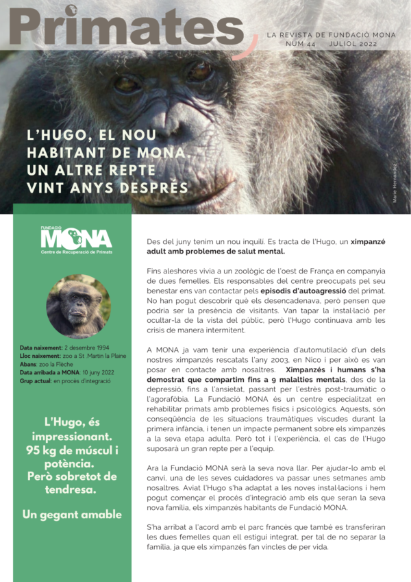 Portada revista 44