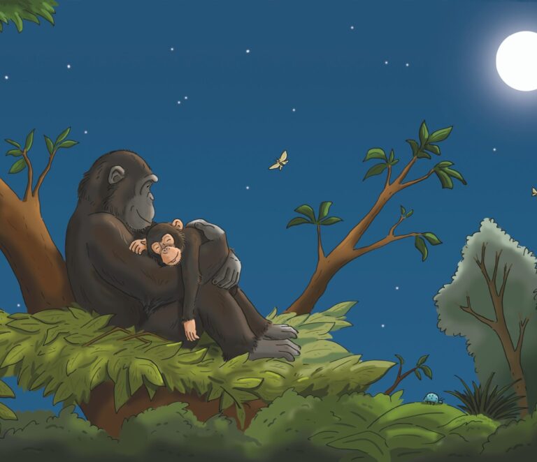 Conociendo Fundación MONA