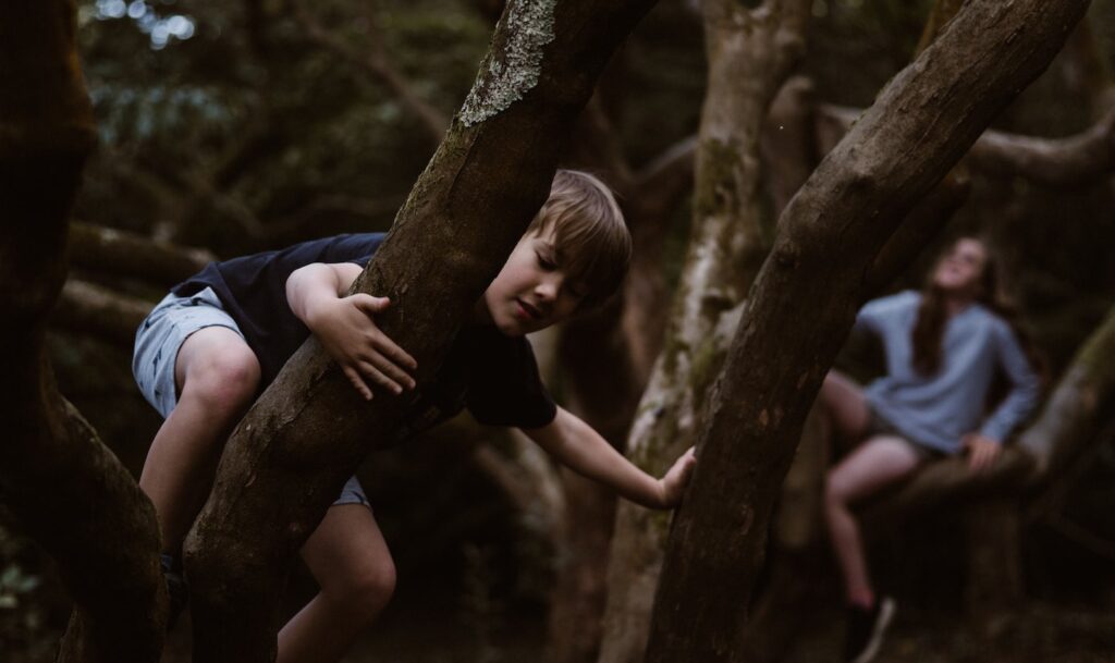 Conservem la selva
