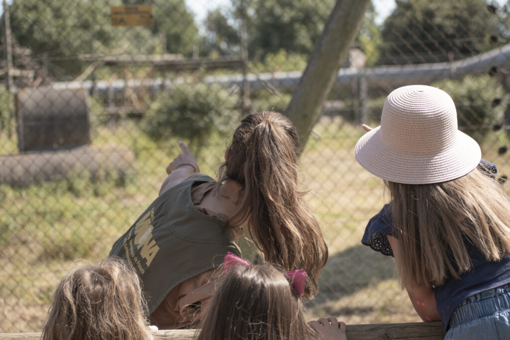 Evaluación del impacto de los programas de educación ambiental