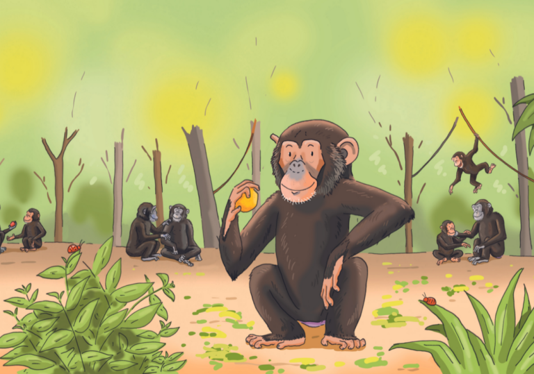 Pequeña historia de una chimpancé – Àfrica