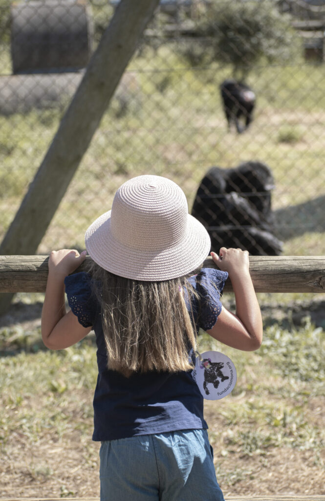 Visita per a famílies amb nens i nenes de 3 a 5 anys