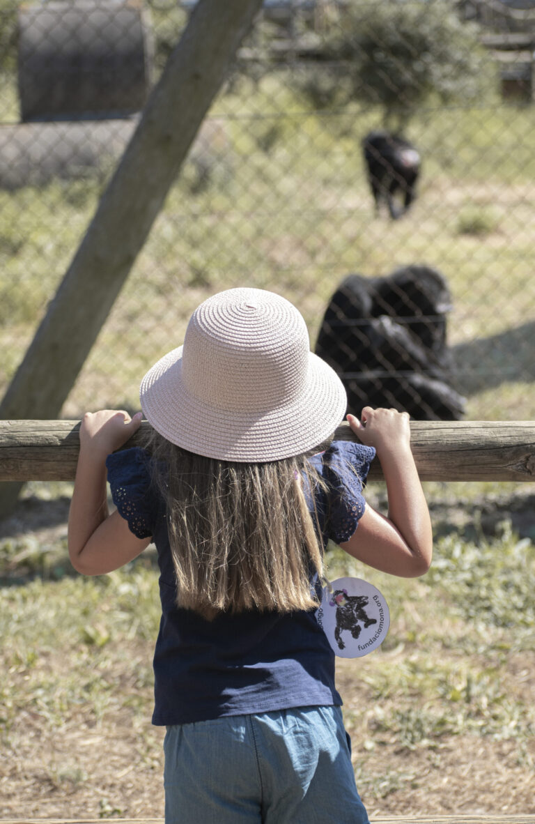 Visita per a famílies amb nens i nenes de 3 a 5 anys