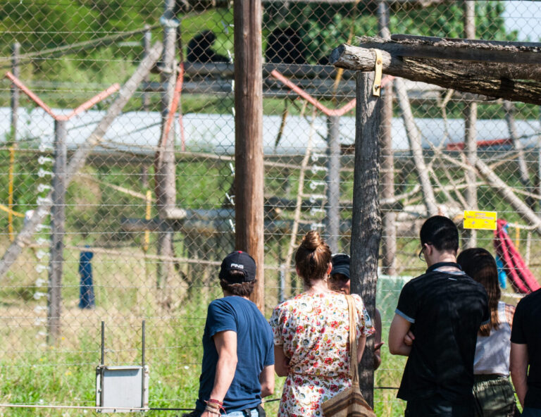 Visita per a adults i joves a partir de 13 anys