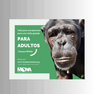 Val regal per a una visita guiada per adults