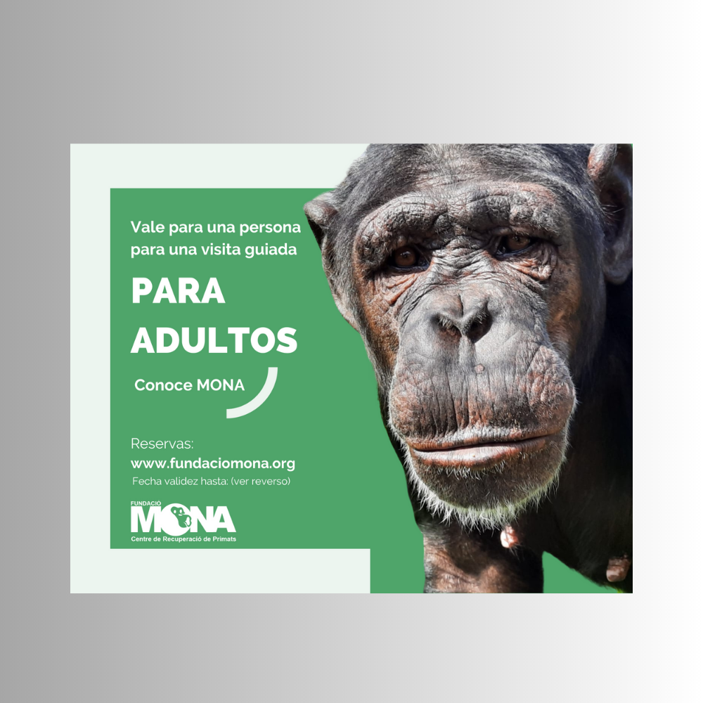 Val regal per a una visita guiada per adults