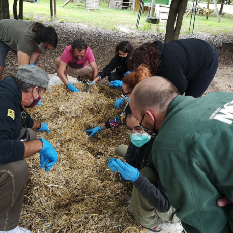 Curso: Cuidador/a de Primates