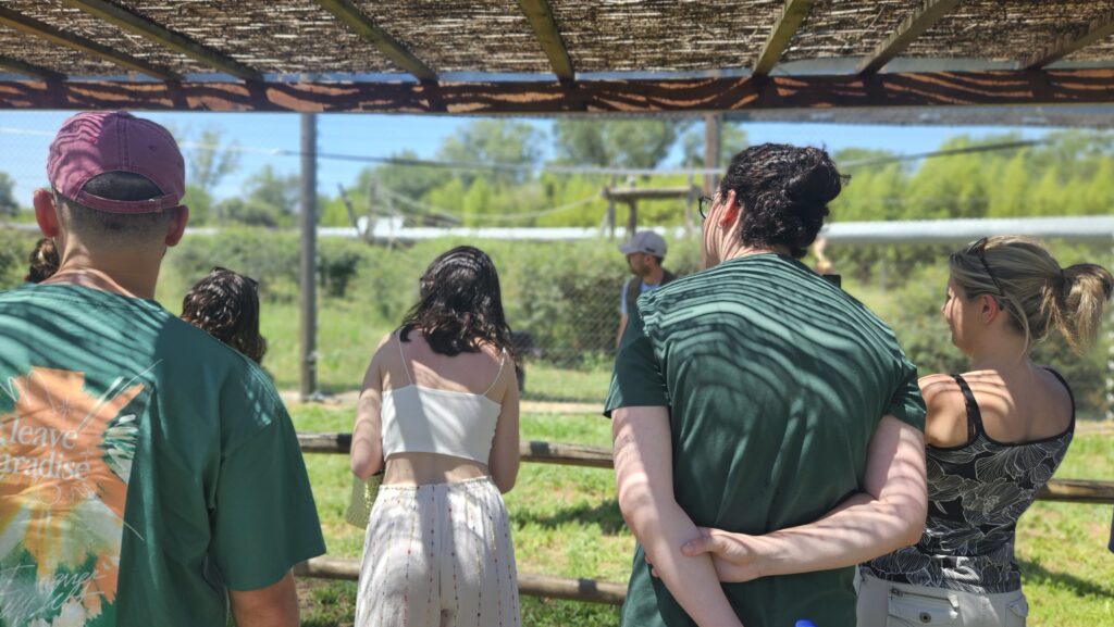 Visita en anglès o francès
