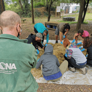 Curso de cuidador/a de primates
