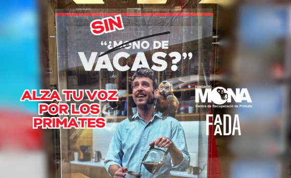 Demana a Halcón Viajes que deixi d’explotar animals pels seus anuncis!