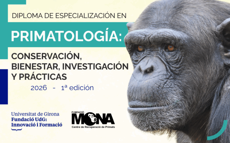 Nuevo Diploma de Especialización en Primatología (Postgrado): curso presencial en conservación, bienestar, investigación y prácticas