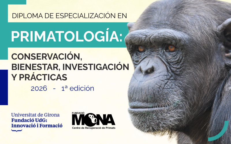 Nuevo Diploma de Especialización en Primatología (Postgrado): curso presencial en conservación, bienestar, investigación y prácticas