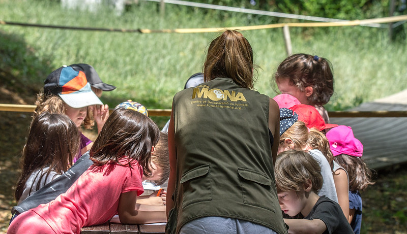 Avaluació de l’impacte dels programes d’educació ambiental