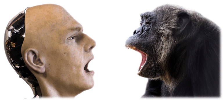 Chimpancés de MONA ayudan a la ciencia a descubrir que el bostezo se contagia… ¡incluso desde un robot!