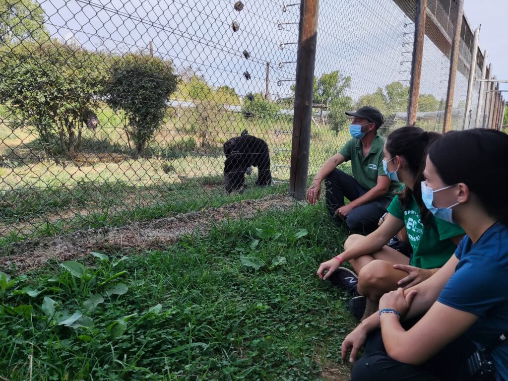 Curso de Cuidador/a de Primates