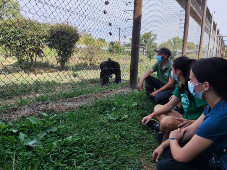 Curso de Cuidador/a de Primates