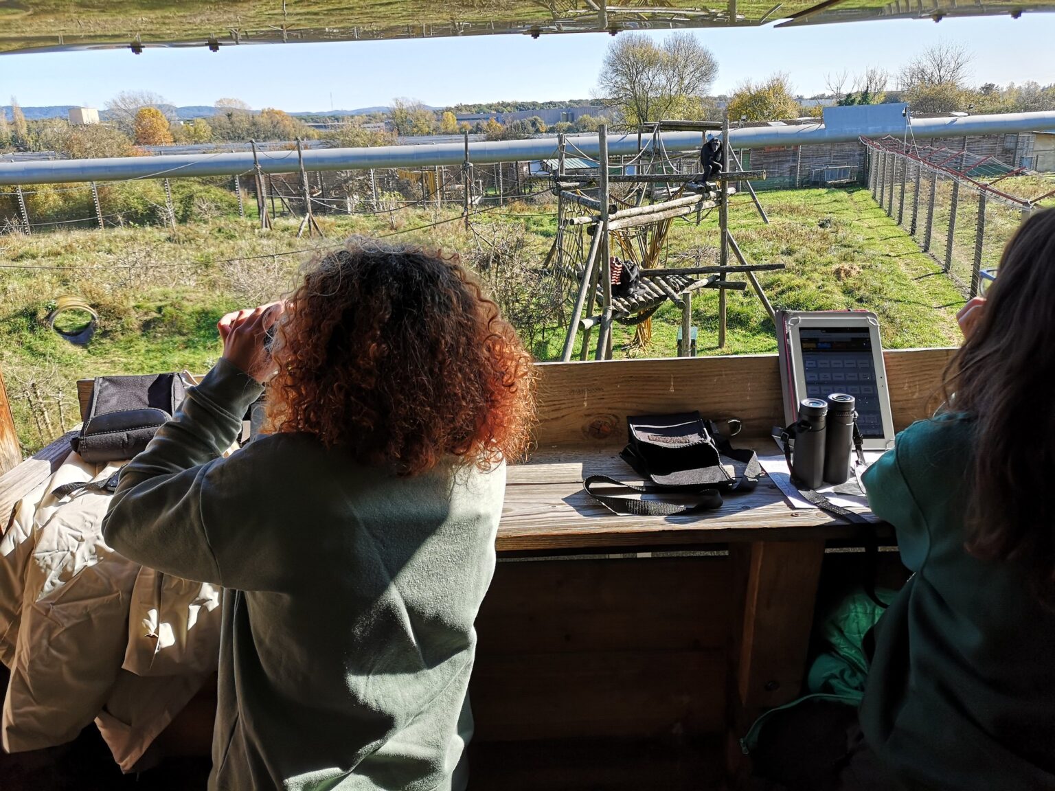 imagen estudiante diploma primatología