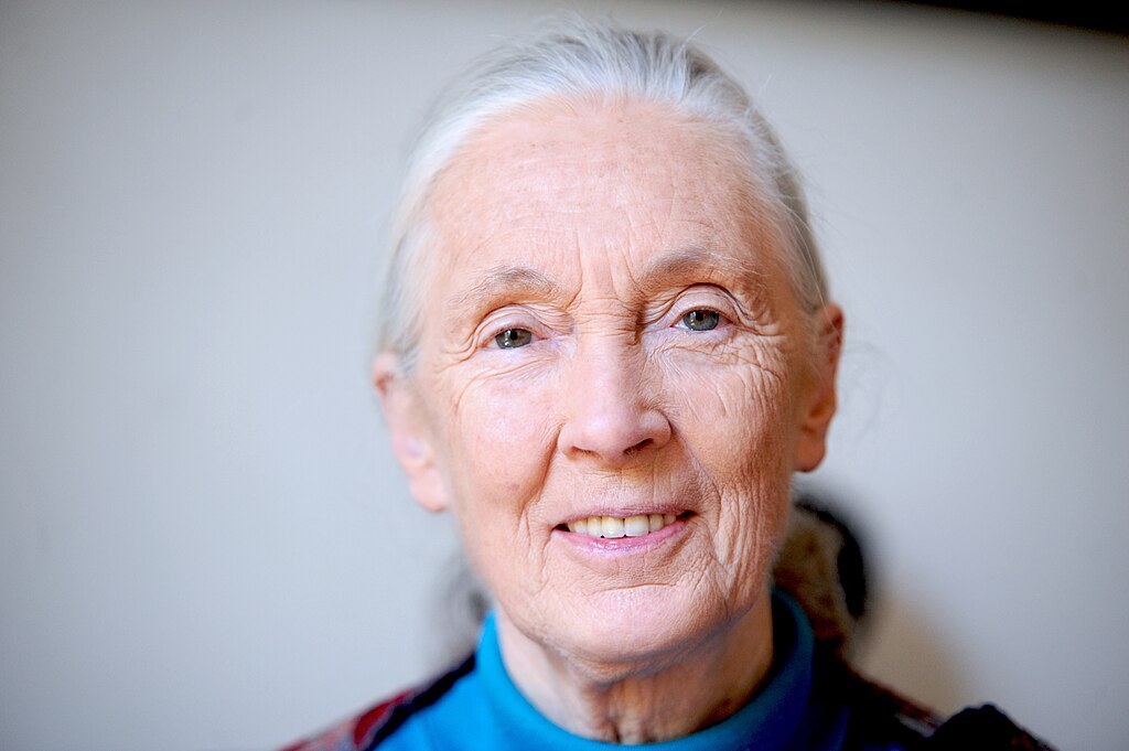 Farewell, Jane Goodall. The legacy of a pioneer