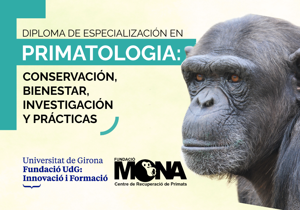 imagen promo diploma