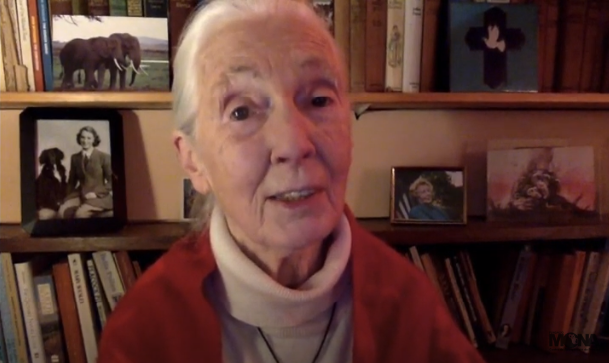 Missatge de la Dra Jane Goodall
