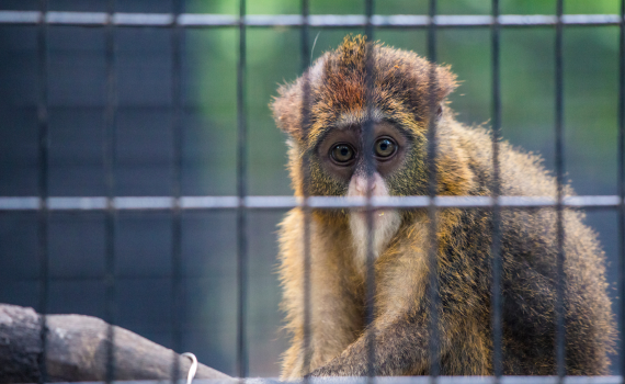 Dona suport al Llistat positiu. Data límit 28 octubre!