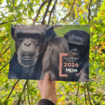 Calendari 2026 solidari