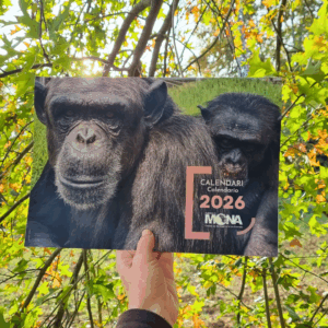 Calendari 2026 solidari