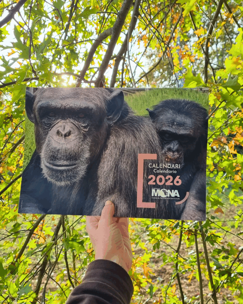 Calendari 2026 solidari