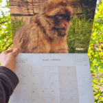 imatge del l'interior del calendari