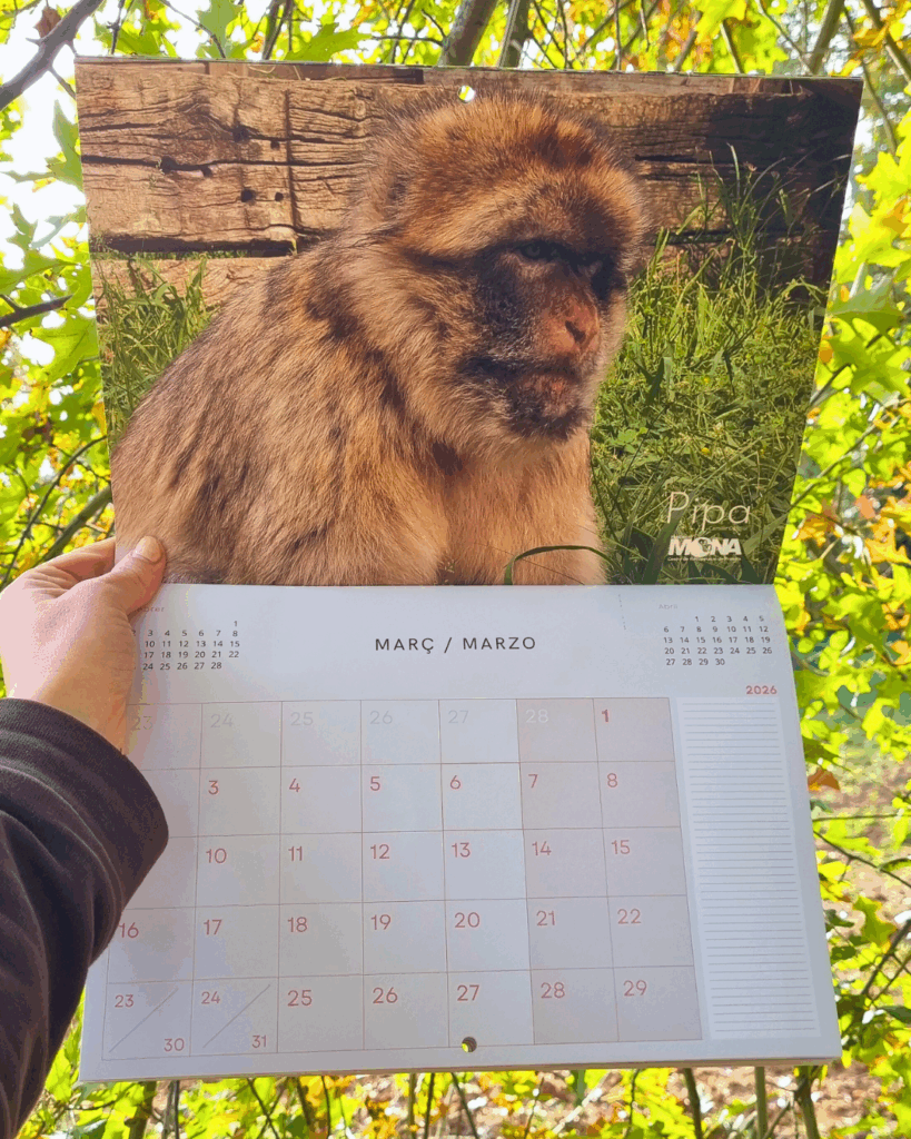 imatge del l'interior del calendari